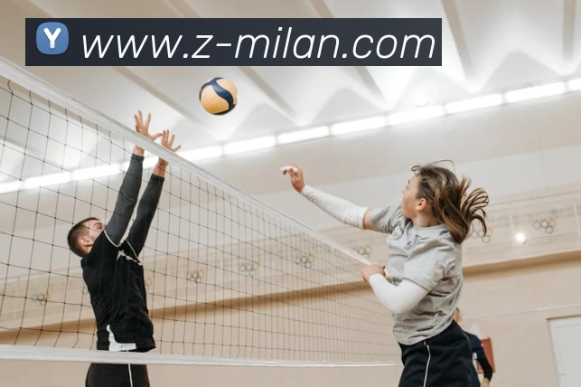 米兰体育发展历程